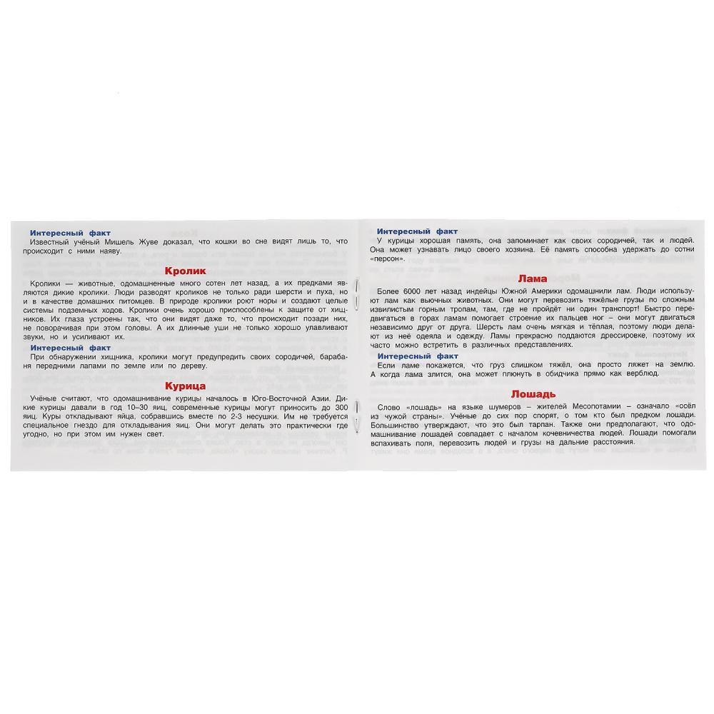 Домашние животные. Карточная игра мемо. (50 карточек). Тренируемся память. Умные игры в кор.50шт