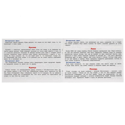 Домашние животные. Карточная игра мемо. (50 карточек). Тренируемся память. Умные игры в кор.50шт