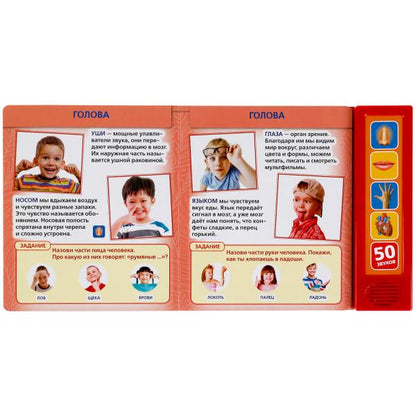 Livre de livre pour enfants (5 кн. 50 голосов) 200х175мм 10стр Умка