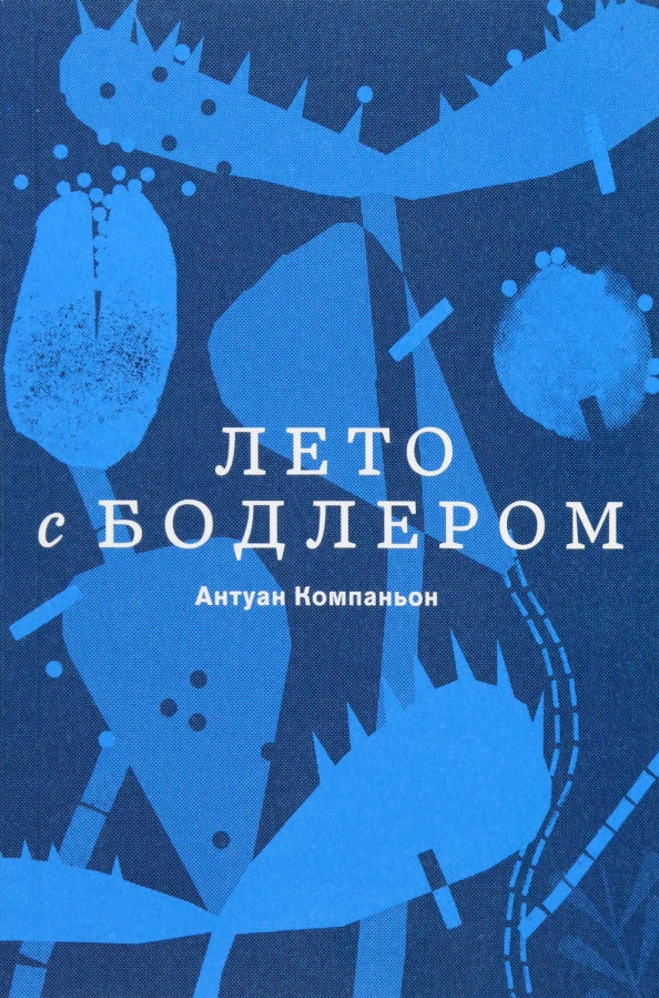 Компаньон Лето с Бодлером