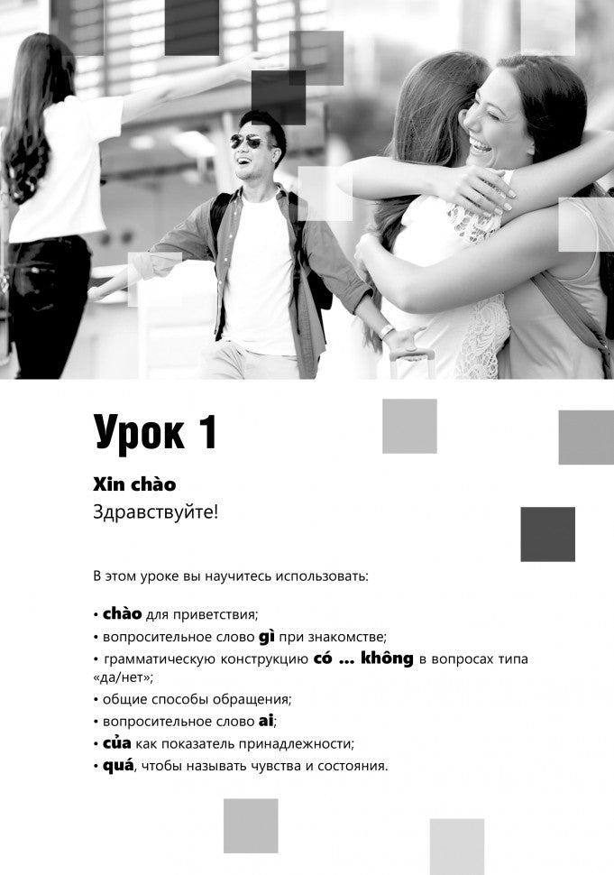 Разговорный вьетнамский язык. Курс для начинающих