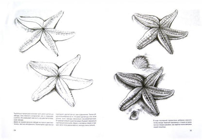 Простые уроки рисования для начинающих