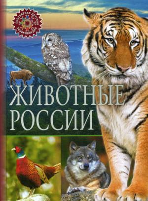 Животные России. (Популярная детская энциклопедия).