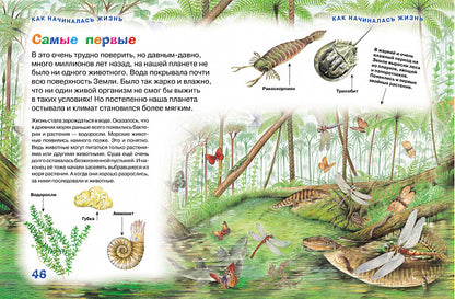Новая энциклопедия для любознательных