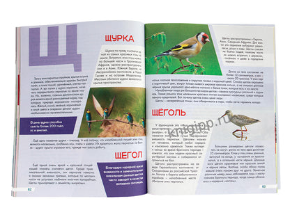 ЛУЧШАЯ ДЕТСКАЯ ЭНЦИКЛОПЕДИЯ новая 96стр. ЖИВОТНЫЙ МИР ОТ А ДО Я