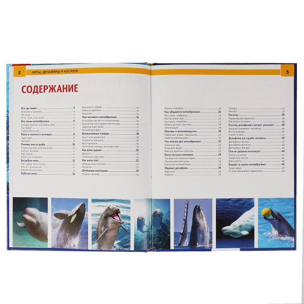 Киты, дельфины и косатки Энциклопедия А4 с развивающими заданиями.197х255мм. 48 стр. Умка в кор.15шт
