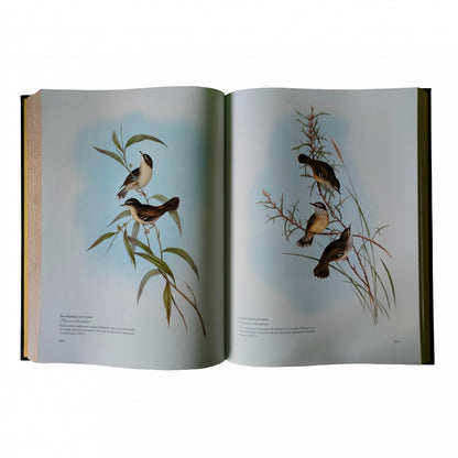 Птицы Австралии