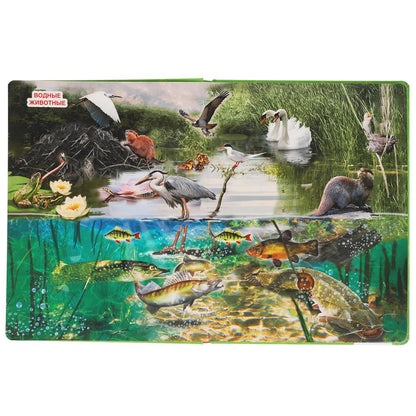 В мире животных. 100 секретных окошек для малышей. Формат: 222х282мм. 12 карт. стр. Умка в кор.12шт