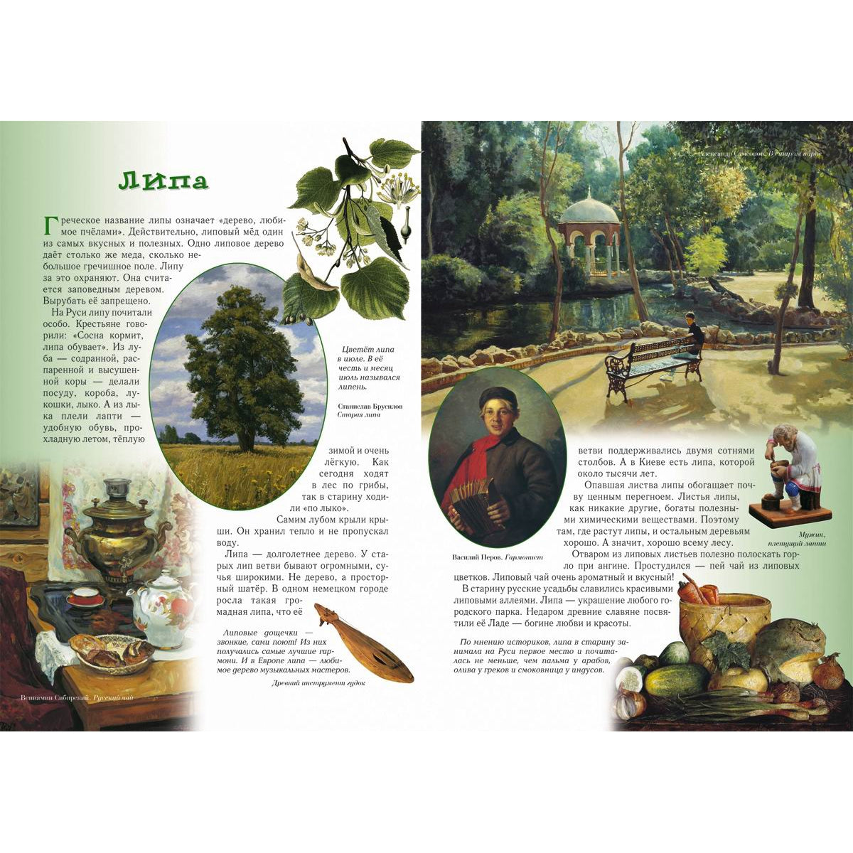 Прогулки по лесу. - 2-е изд.