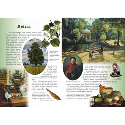 Прогулки по лесу. - 2-е изд.