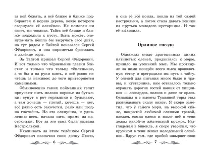 Птицы под снегом: рассказы