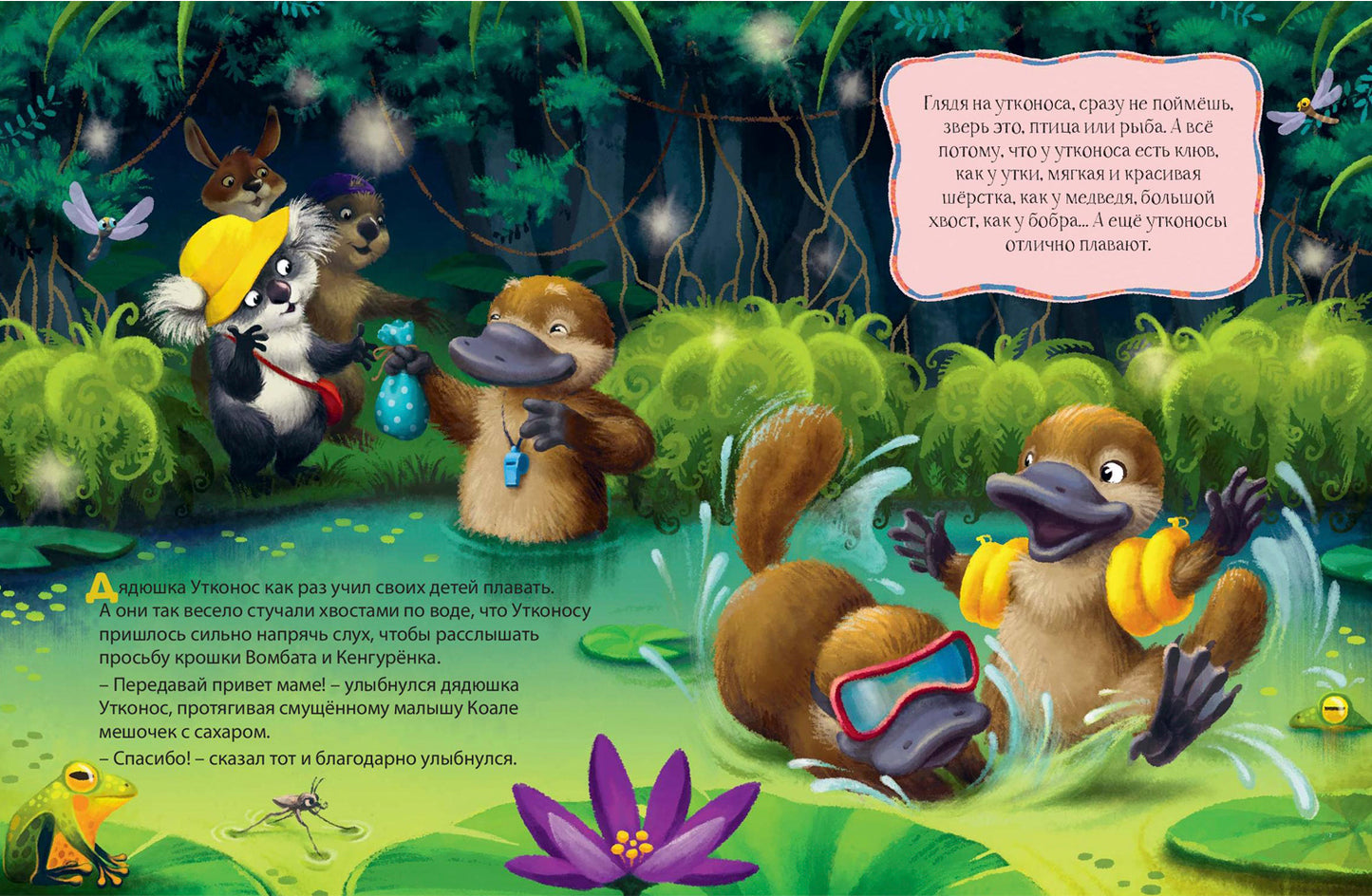 Малыш Коала находит друзей (СНИЖЕНА ЦЕНА)