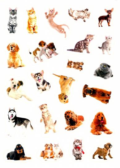 100 НАКЛЕЕК. КОШКИ И СОБАКИ