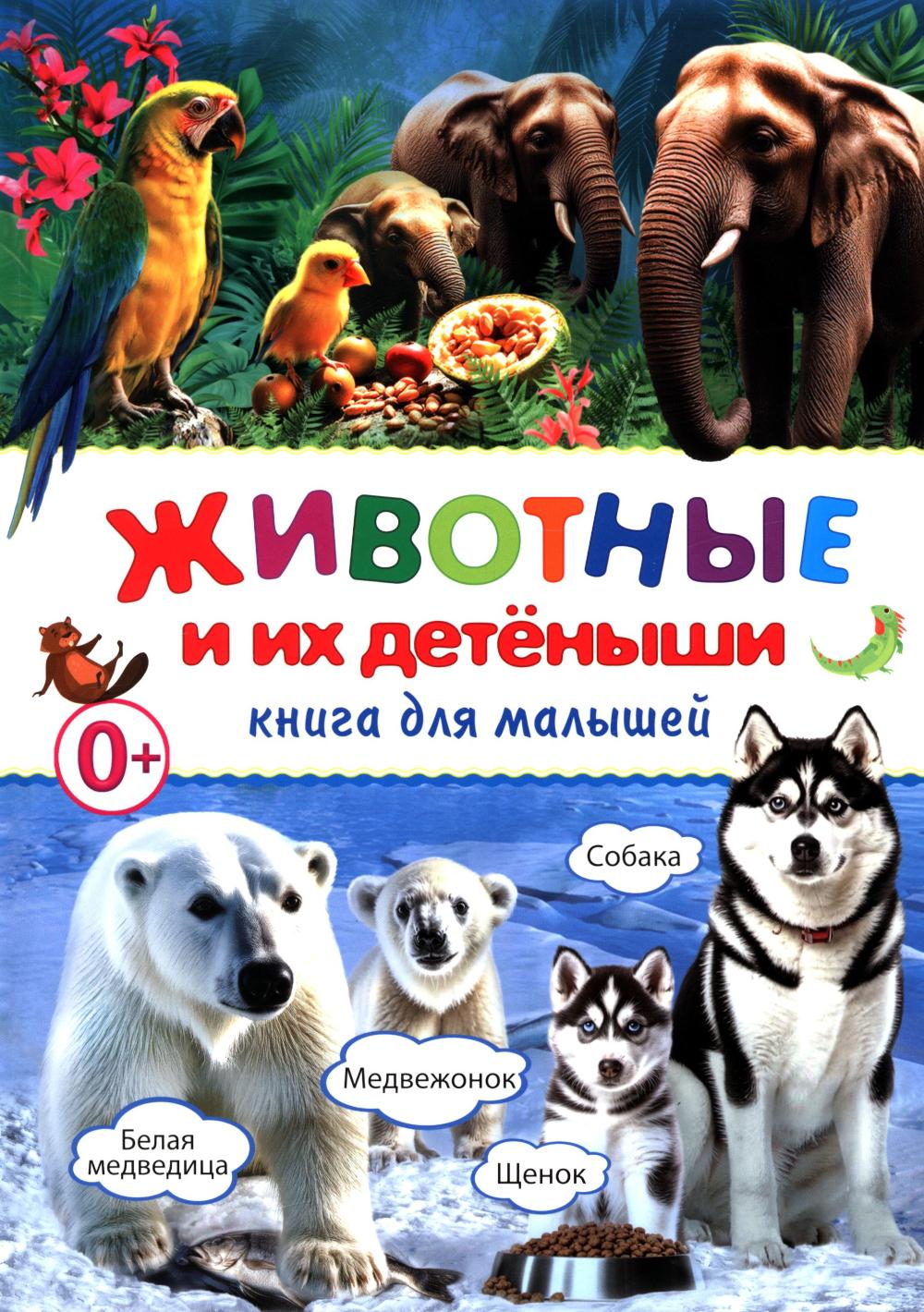 Рип.Животные и их детеныши.Книга д/малышей