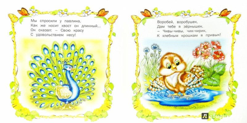 Птичьи секреты. Книжка-раскладушка