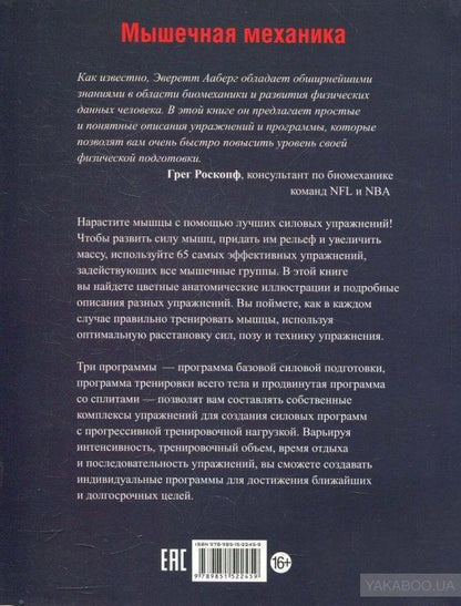 Мышечная механика