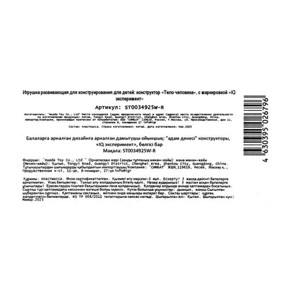 Опыты анатомия тело человека, кор. IQ Эксперимент в кор.48шт