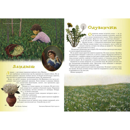 Прогулки по лесу. - 2-е изд.