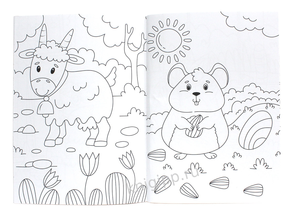 БОЛЬШАЯ СУПЕРРАСКРАСКА. ЖИВОТНЫЕ