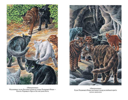 Хантер. Коты-воители. Золотая коллекция. Отверженные. Затмение.