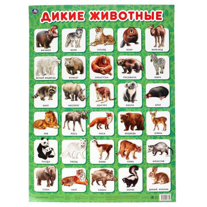 Дикие животные. Плакат А2. Умка уп-10шт в кор.5уп