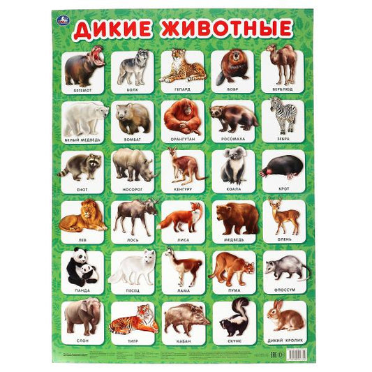 Дикие животные. Плакат А2. Умка уп-10шт в кор.5уп
