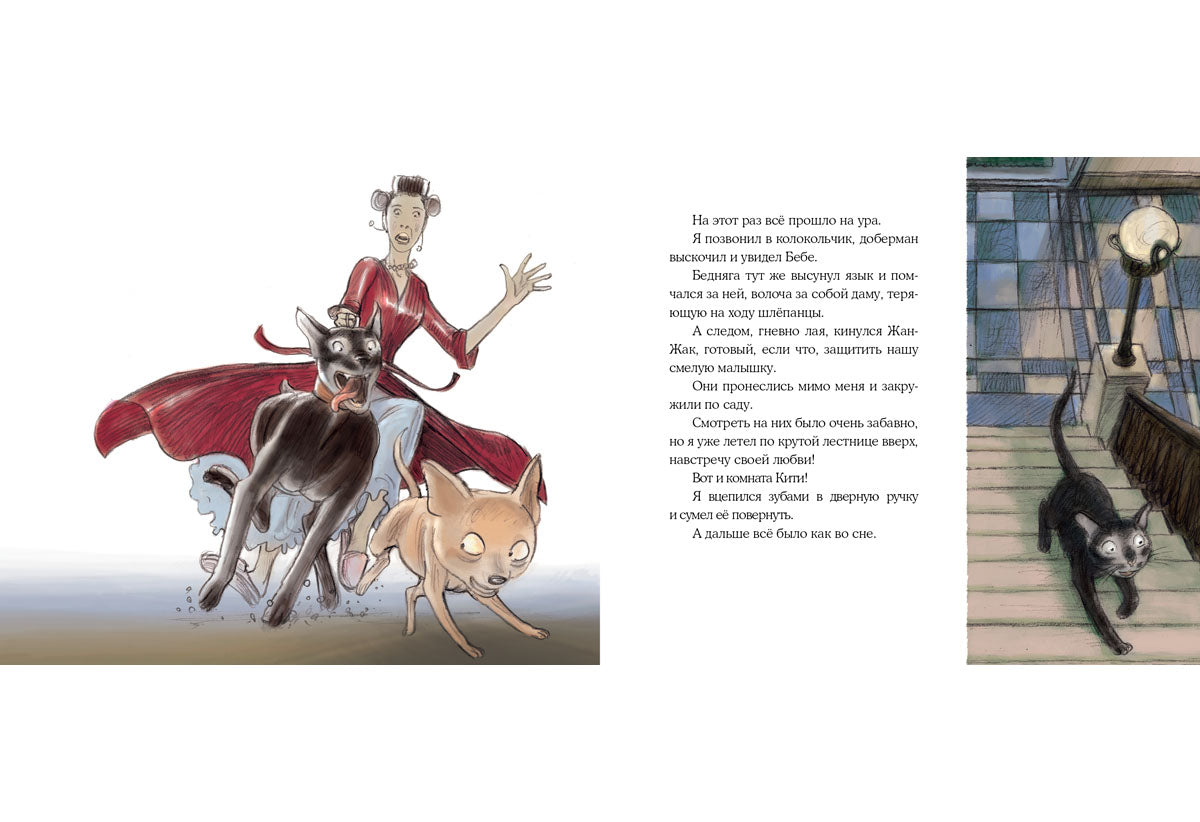 Нуаро и Бланш: [рассказ] / А. В. Соя; ил. А. Аринушкина. - М.: Нигма, 2015. - 48 с.: ил.