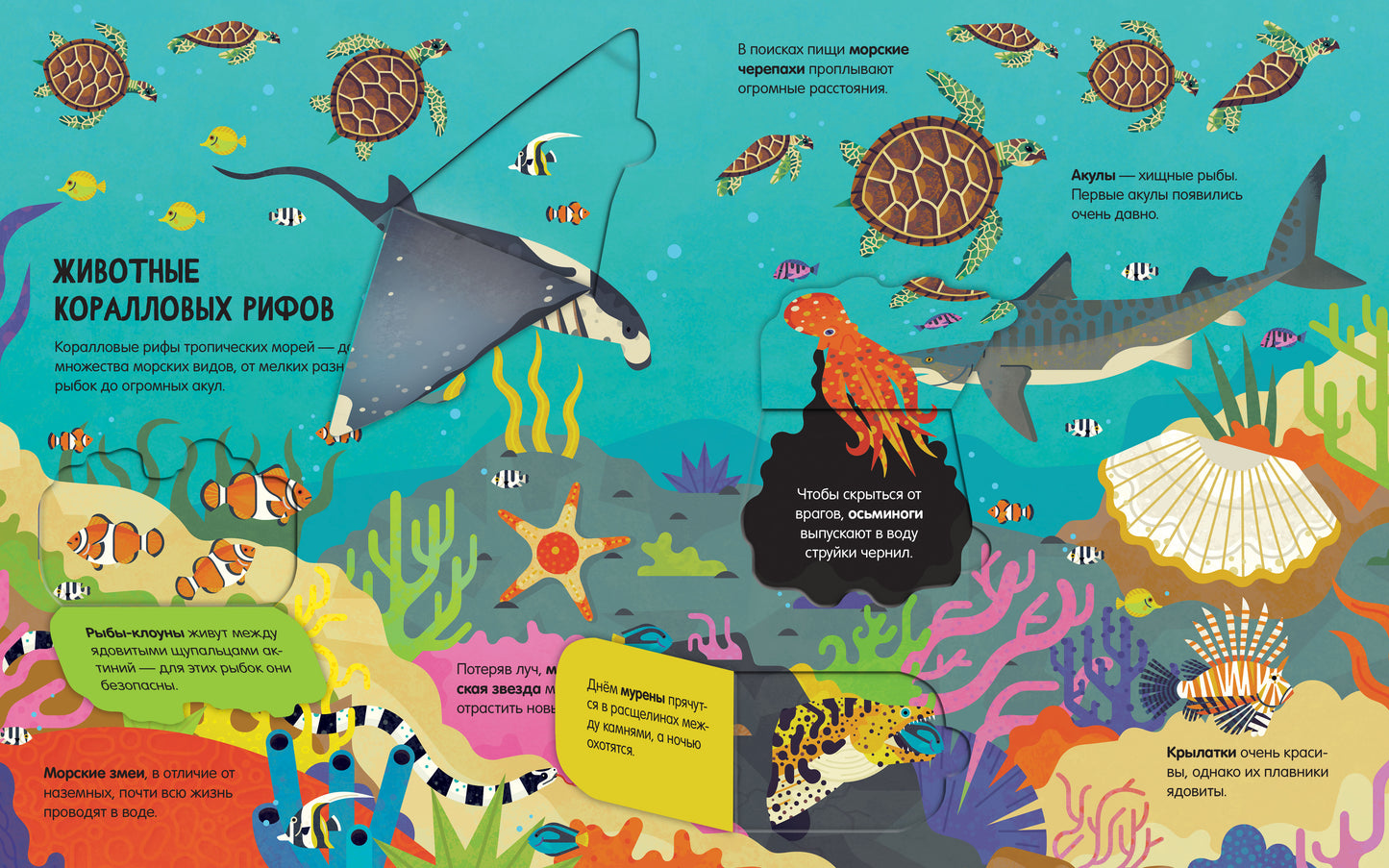 Энциклопедия с окошками. Животные. Энциклопедия с окошками/Петти У.