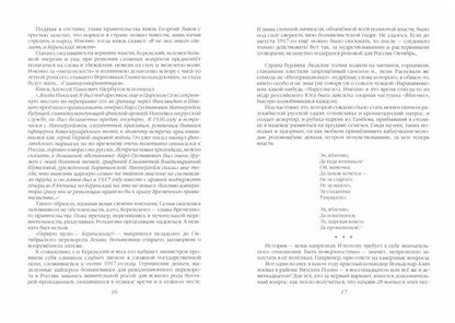 Железный начдив Азин. Между красными и белыми