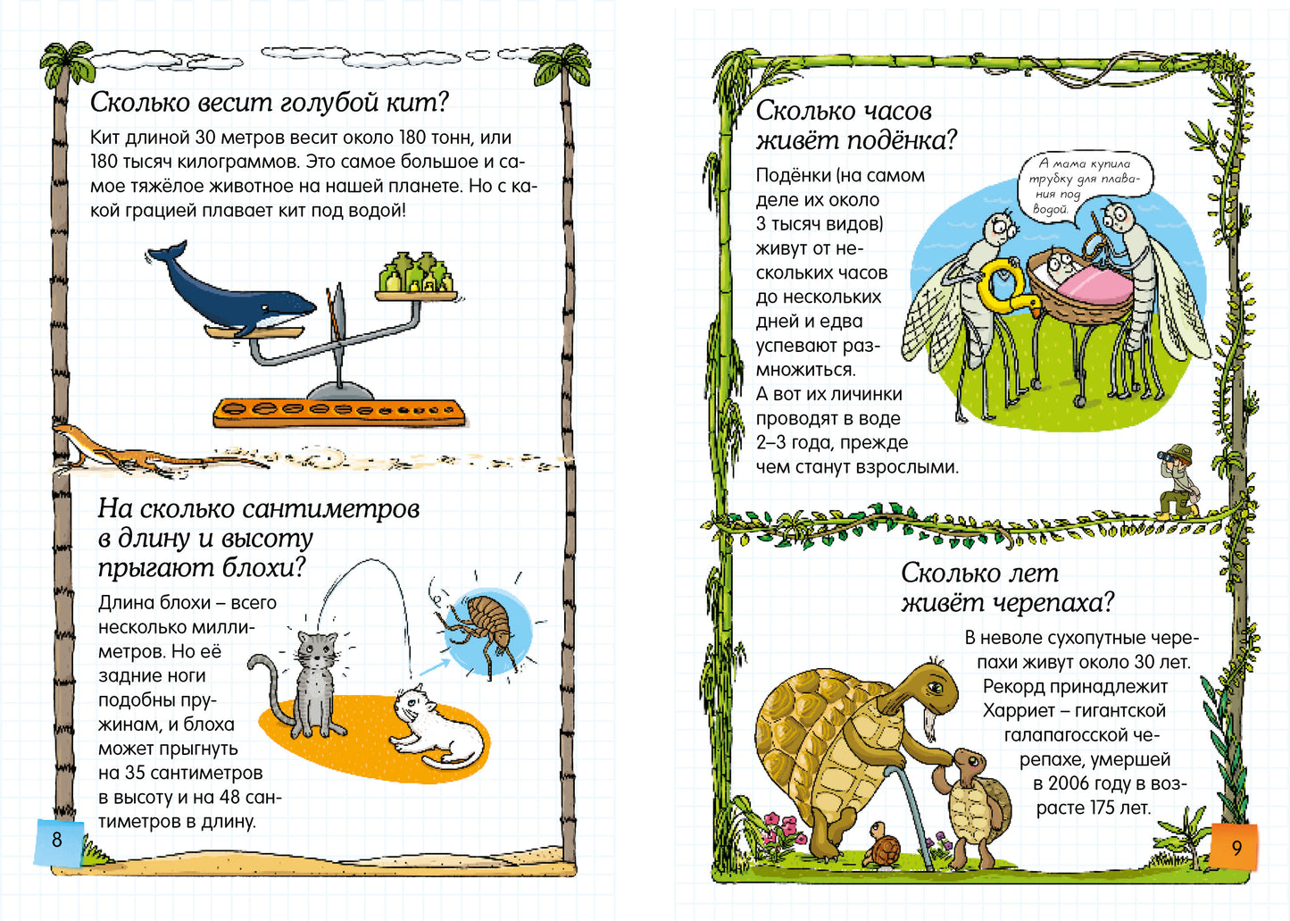 Скажи мне, что это?