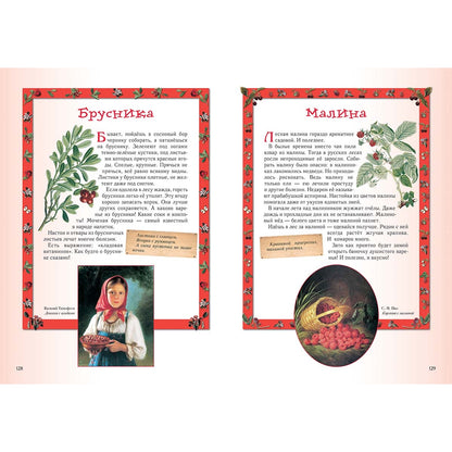 Прогулки по лесу. - 2-е изд.