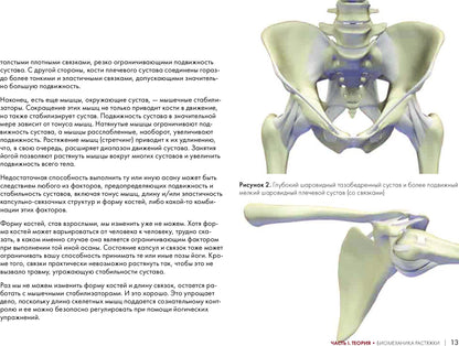 Ключевые позы йоги