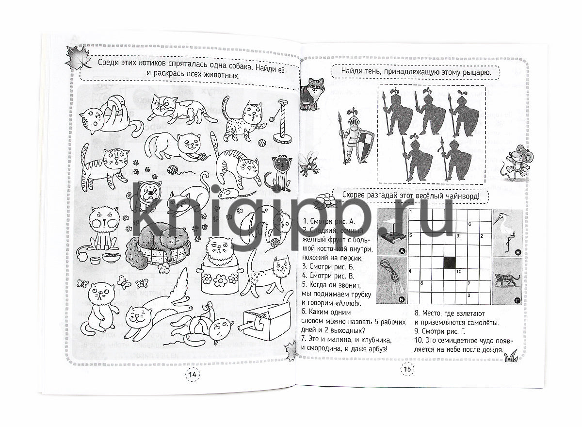 КРОССВОРДЫ, ИГРЫ, РЕБУСЫ. РАЗВИВАЕМ МЫШЛЕНИЕ