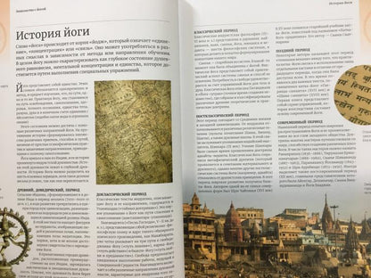 Анатомия и йога