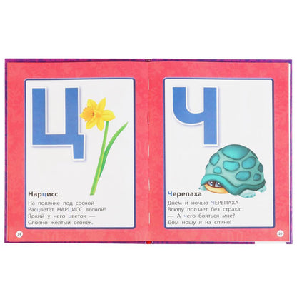 АЗБУКА. ЭНЧАНТИМАЛС. КНИГА С КРУПНЫМИ БУКВАМИ. 197Х255 ММ, 32 СТР., ОФСЕТ БУМАГА. УМКА в кор.16шт