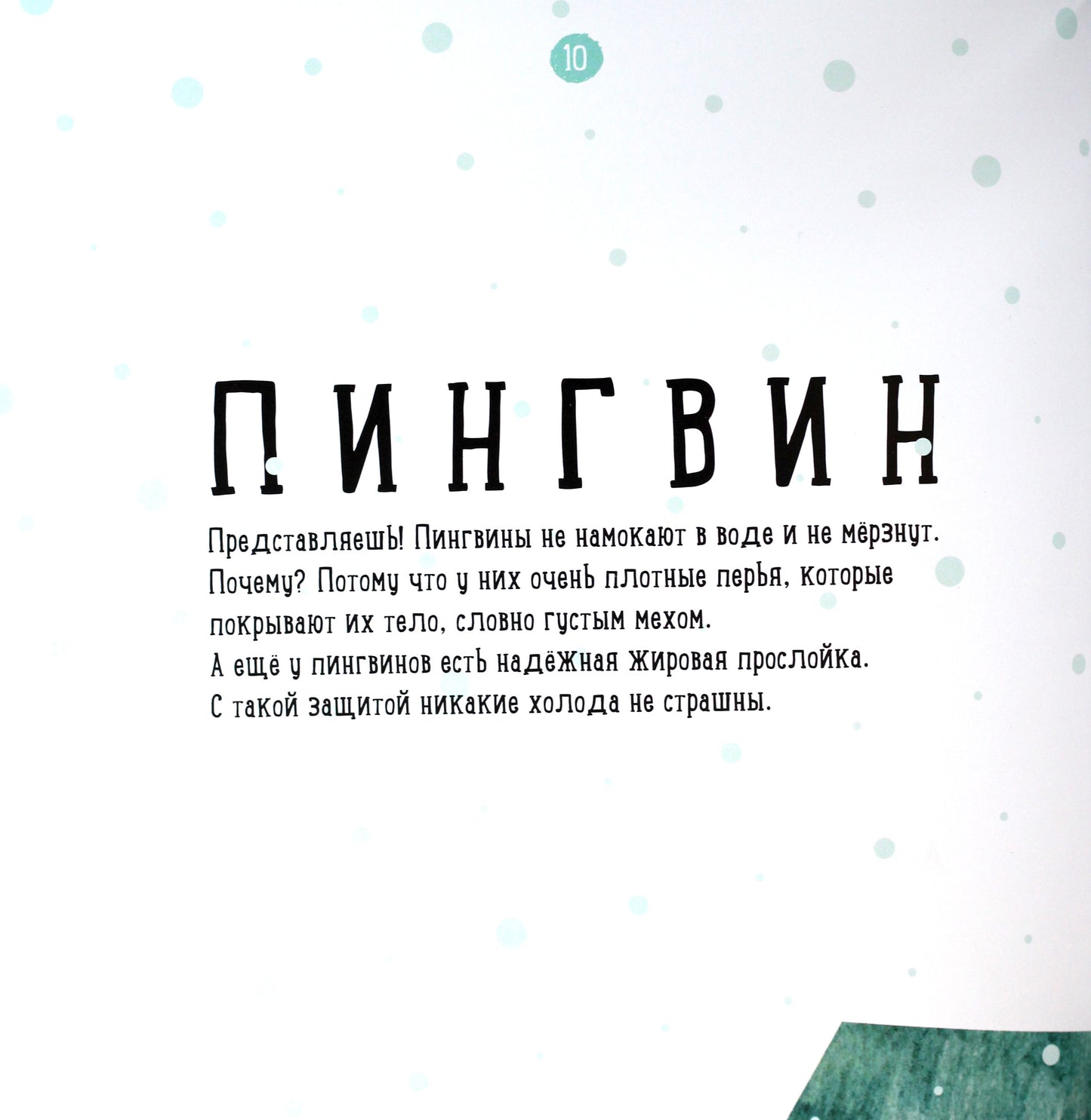 Профессор Карапуз - Где живёт пингвин?