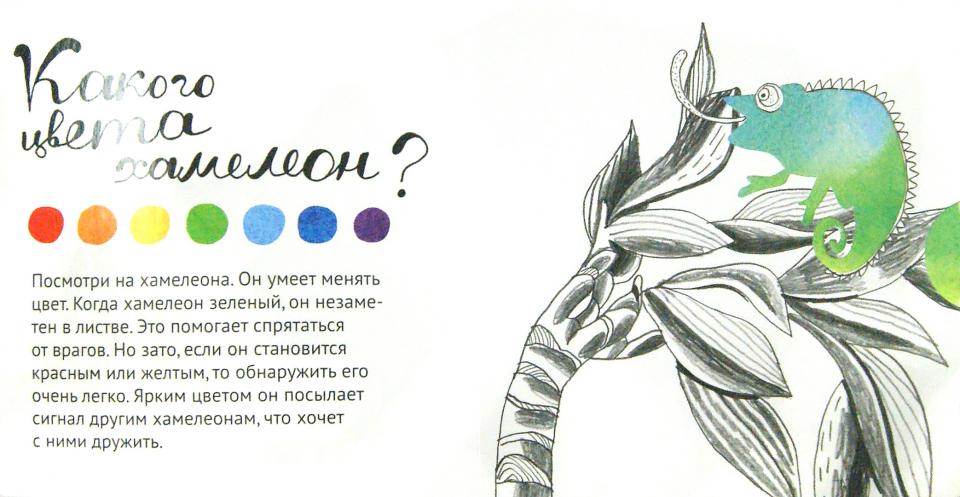 Цвет, привет! (интерактивная книга)