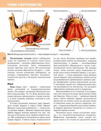 Анатомия человека.Т.2-Спланхнология и сердечно-сосудистая система.Учебник в 3 томах