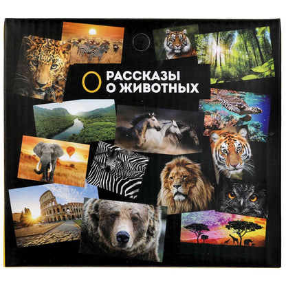 Jeu de vélo en plastique pour dinosaure, 15,3x6,3x4,5 cm, ind. affichage ТМ "ИГРАЕМ ВМЕСТЕ" dans le format 2*90шт