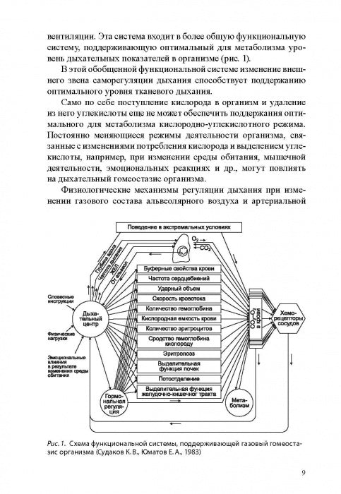 Физиологические механизмы произвольной регуляции дыхания при занятиях спортом