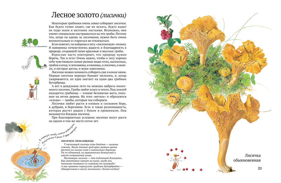 Софи в мире грибов