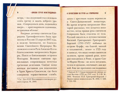 Любви струя неистичная. Святитель и чудотворец Спиридон, епископ Тримифунтский