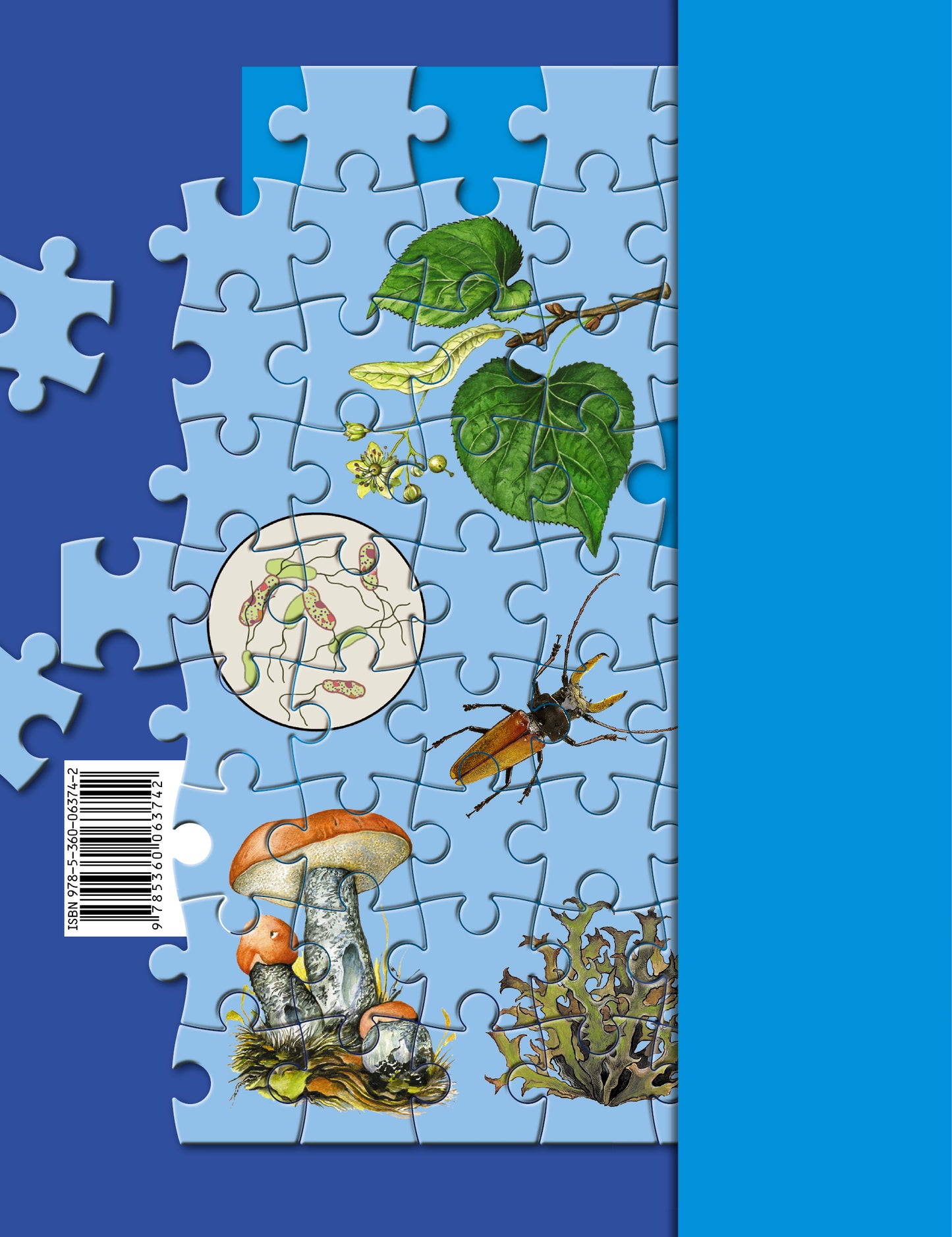 Биология. 5 класс. Рабочая тетрадь.