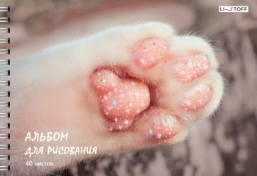 Альбом для рис.40л,греб,Пушистая лапка,АСБ402531