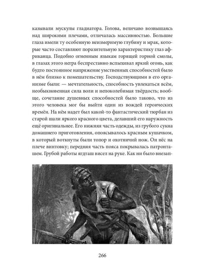 Дрэд, или повесть о проклятом болоте: роман