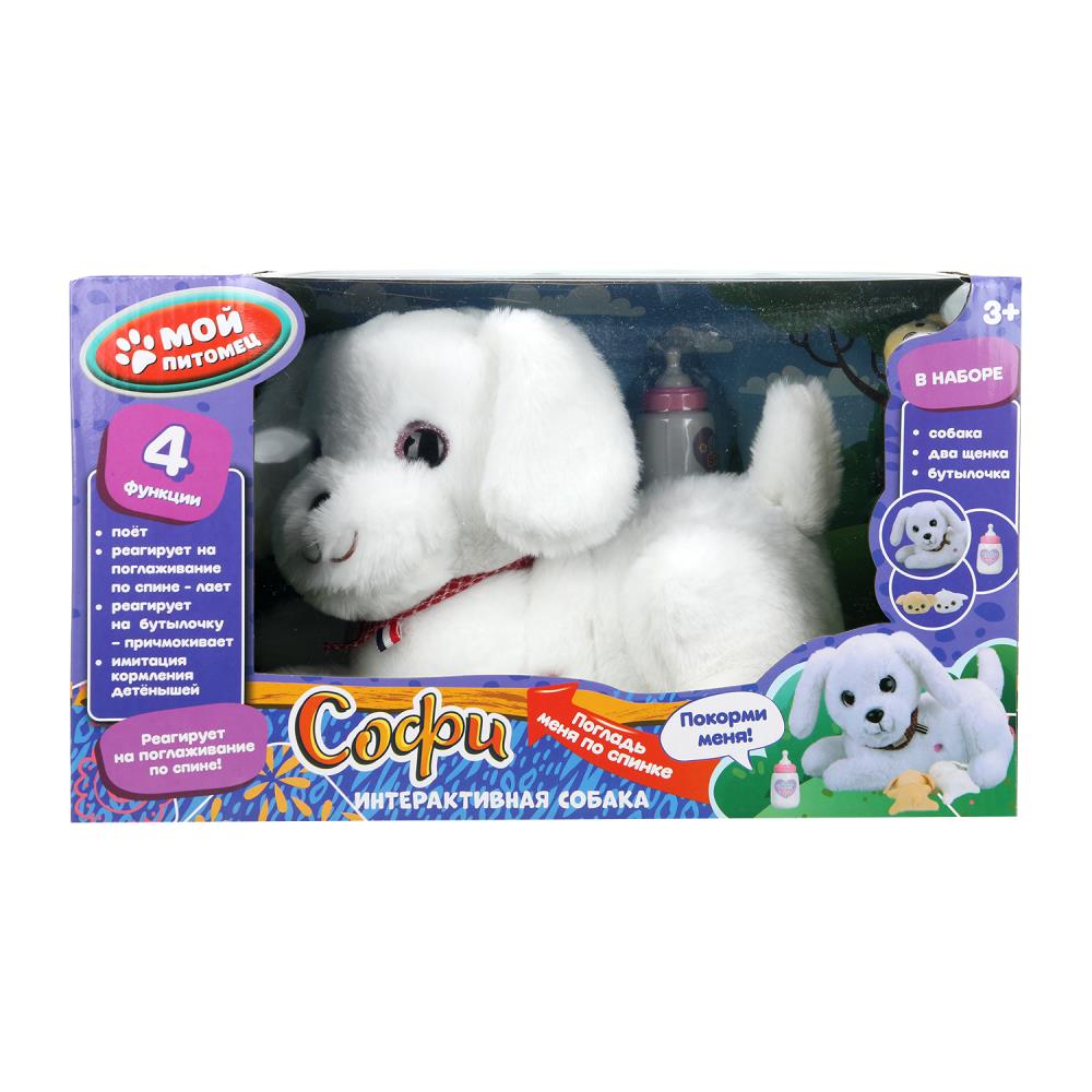 Le canapé interactif de 25 cm avec des sièges de 25 cm est placé dans mon pitome de MO en cor.2*6шт