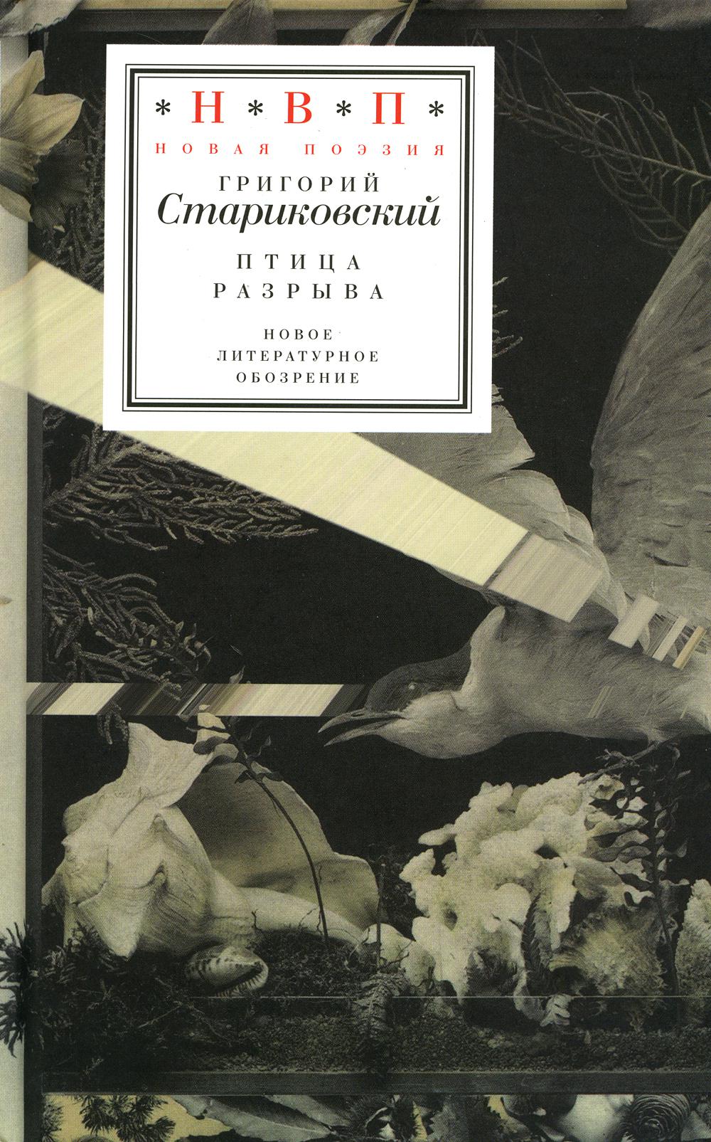 Птица разрыва