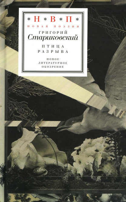 Птица разрыва
