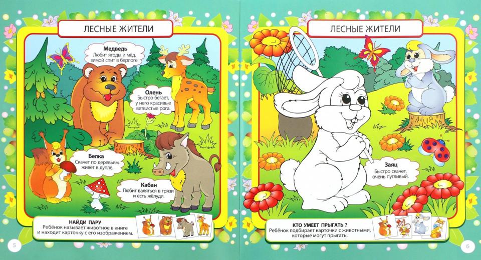 Играем с карточками. Животные. Развивающая книга