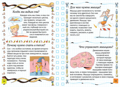 Тело человека